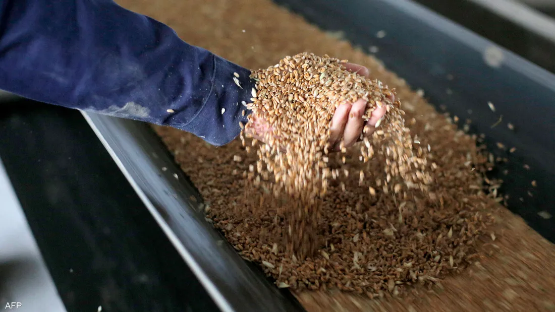 ارتفاع أسعار تصدير القمح الروسي..ما هو السبب؟